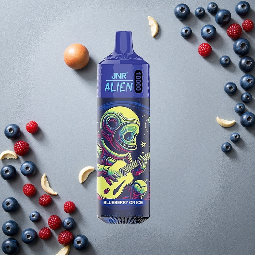 JNR Alien 10000 Puffs Mustikka Jää Finland wholesale 850mAh Type-C