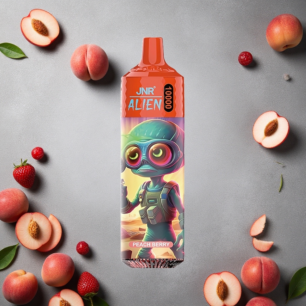 JNR Alien 10000 Puffs Persikka-Marja Finland wholesale 850mAh Type-C
