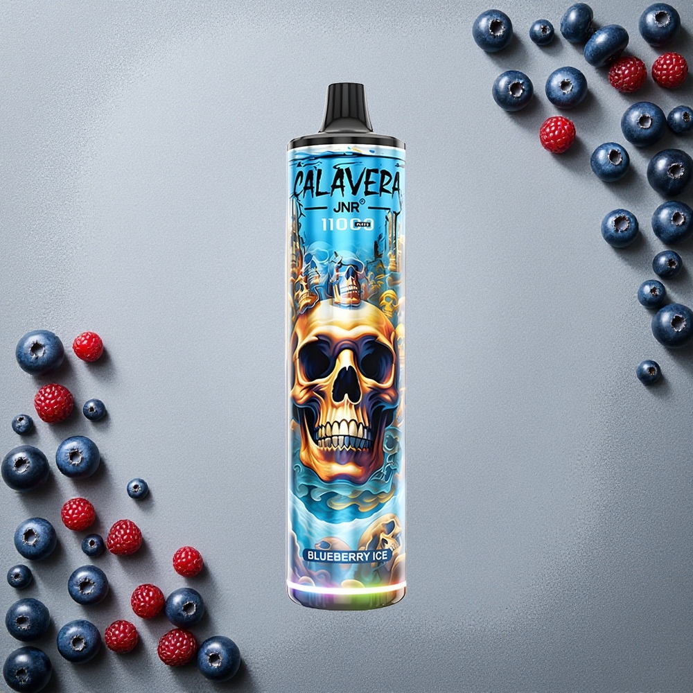 JNR Calavera 11000 Puffs Mustajäämarja Finland wholesale Type-C latausliitin 21ml nestemäärä