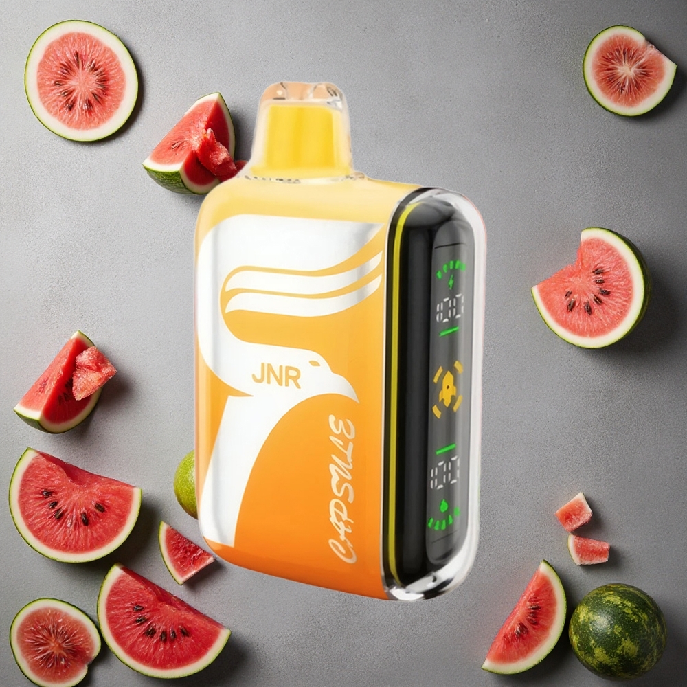 JNR Capsule 15000 Puffs Vesimeloni-Irchee Finland wholesale 850mAh Akku 20ml Nestemäis