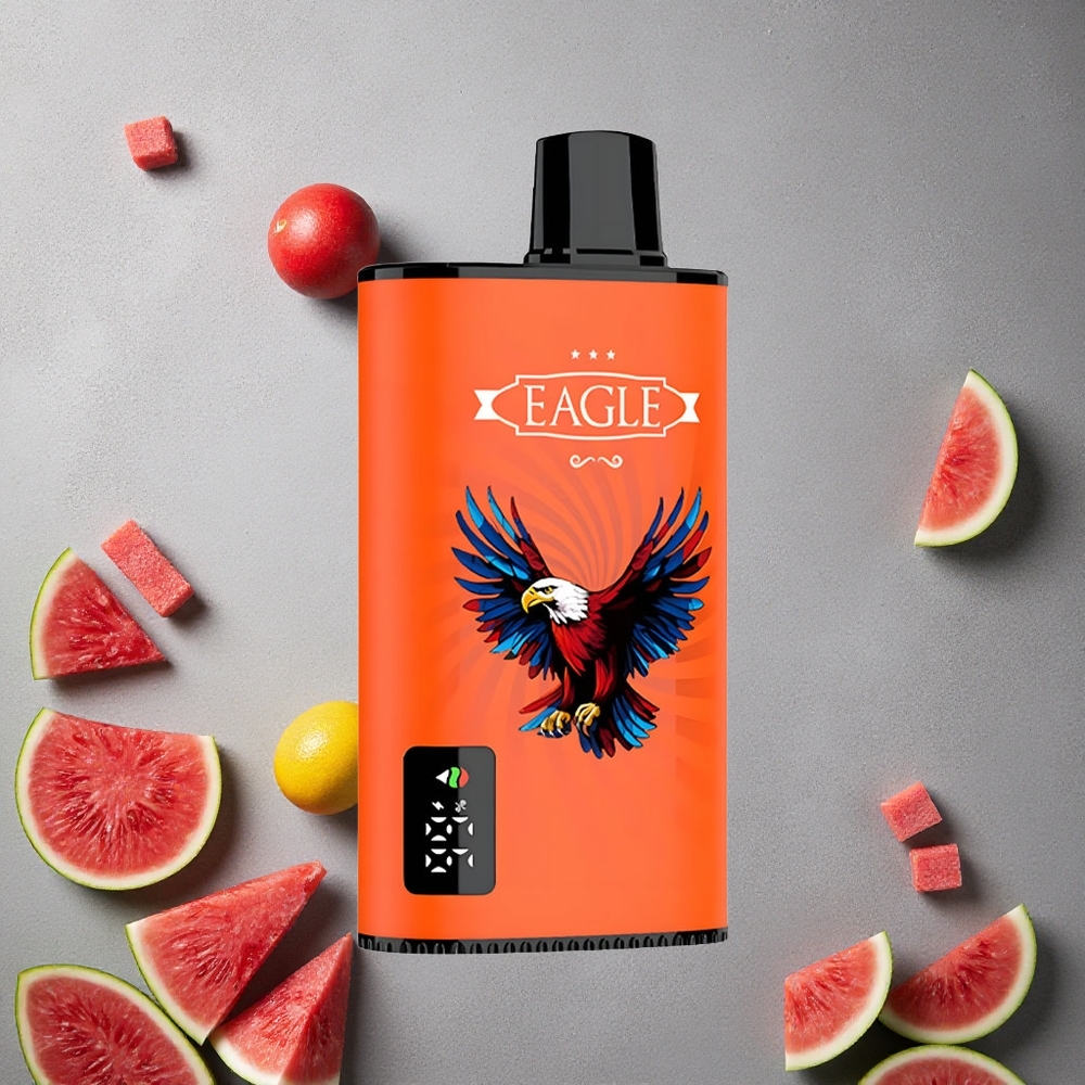 JNR EAGLE Smart 23000 Puffs vesimeloni-kuplakumia Digital Screen Finland wholesale 1.0ohm Mesh Coil