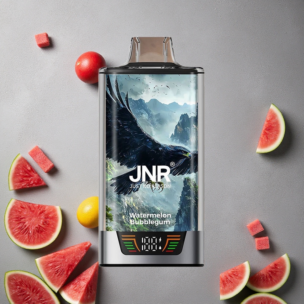 JNR Falcon Pro 28000 Puffs Vesimelonikupla (Watermelon Bubblegum) Finland wholesale 30ml/950mAh