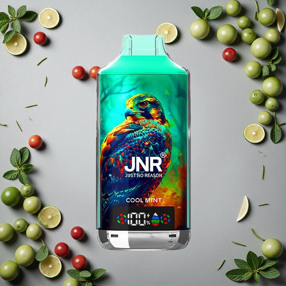 JNR Falcon X 18000 Puffs Cool Mint 24ml nestemäärä Finland wholesale