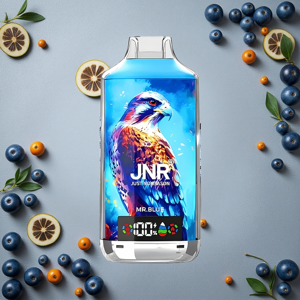 JNR Falcon X 18000 Puffs Mr. Sininen Finland wholesale 750mAh Akku 24ml Nestemäistä