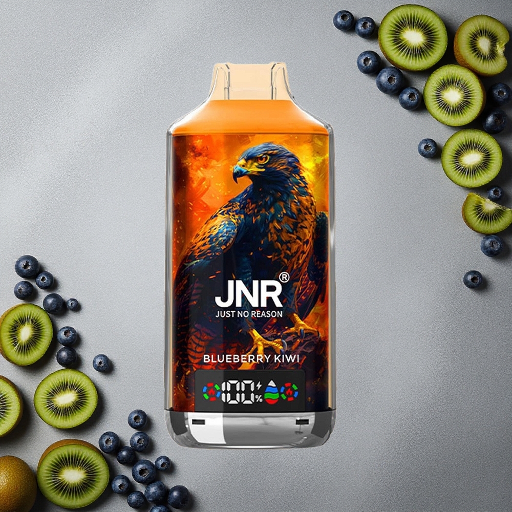 JNR Falcon X 18000 Puffs Mustikka-Kiivi Finland wholesale 750mAh & 24ml