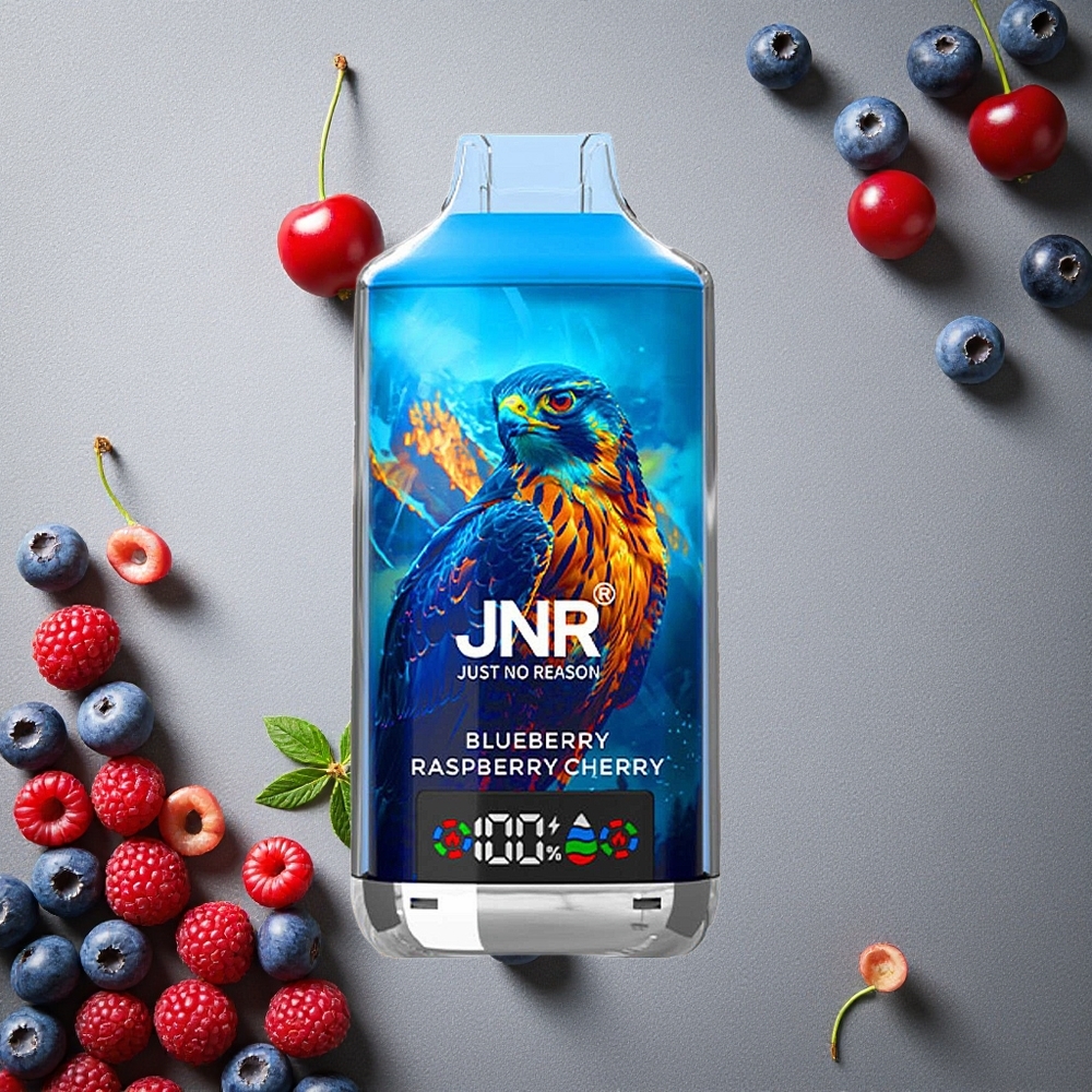 JNR Falcon X 18000 Puffs Mustikka-Vadelma-Kirsikka Finland wholesale 750mAh Akku 24ml Neste