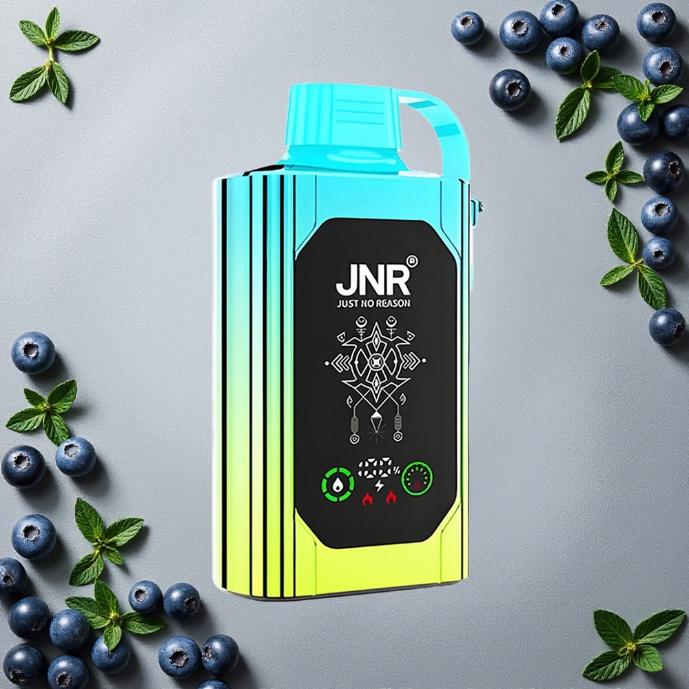 JNR Shisha Hookah Box 20500 Puffs Mustikka-Minttia Finland wholesale HD-Näyttö 1000mAh Akku 25ml Nestemäärä