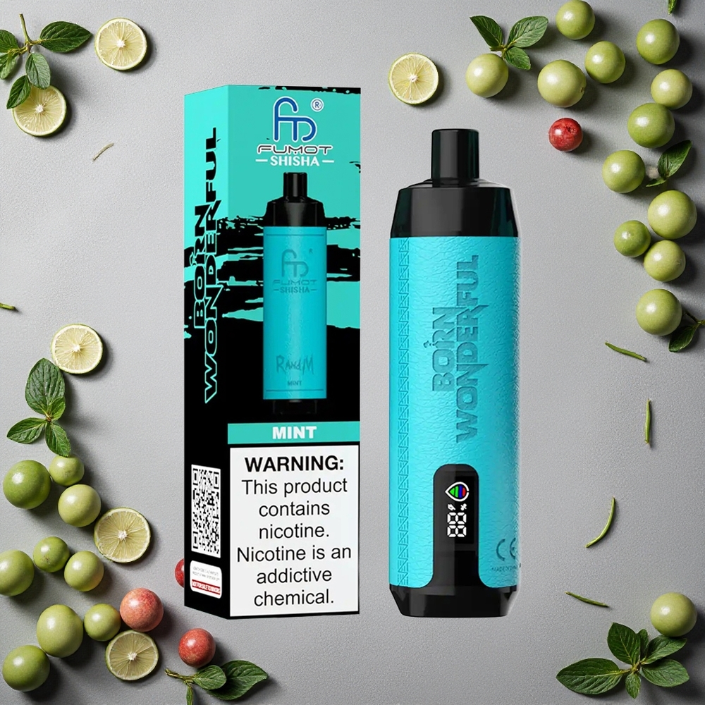 RandM Fumot Shisha 10000 Puffs Kertakäyttöinen Vape Minttinen Finland wholesale 18ml Esitäytetty