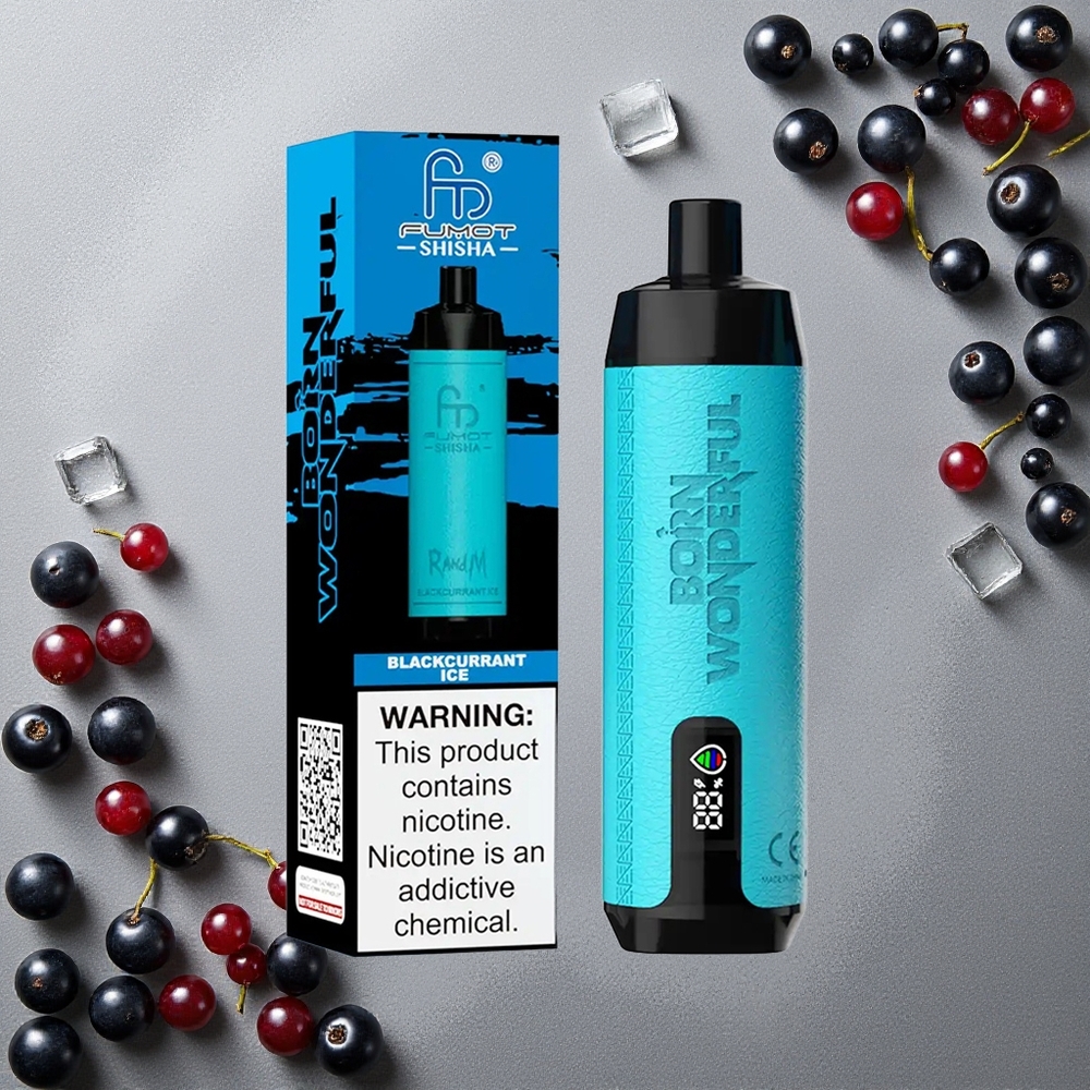 RandM Fumot Shisha 10000 Puffs Mustaherukka-Jää 18ml Finland wholesale Type-C Portti