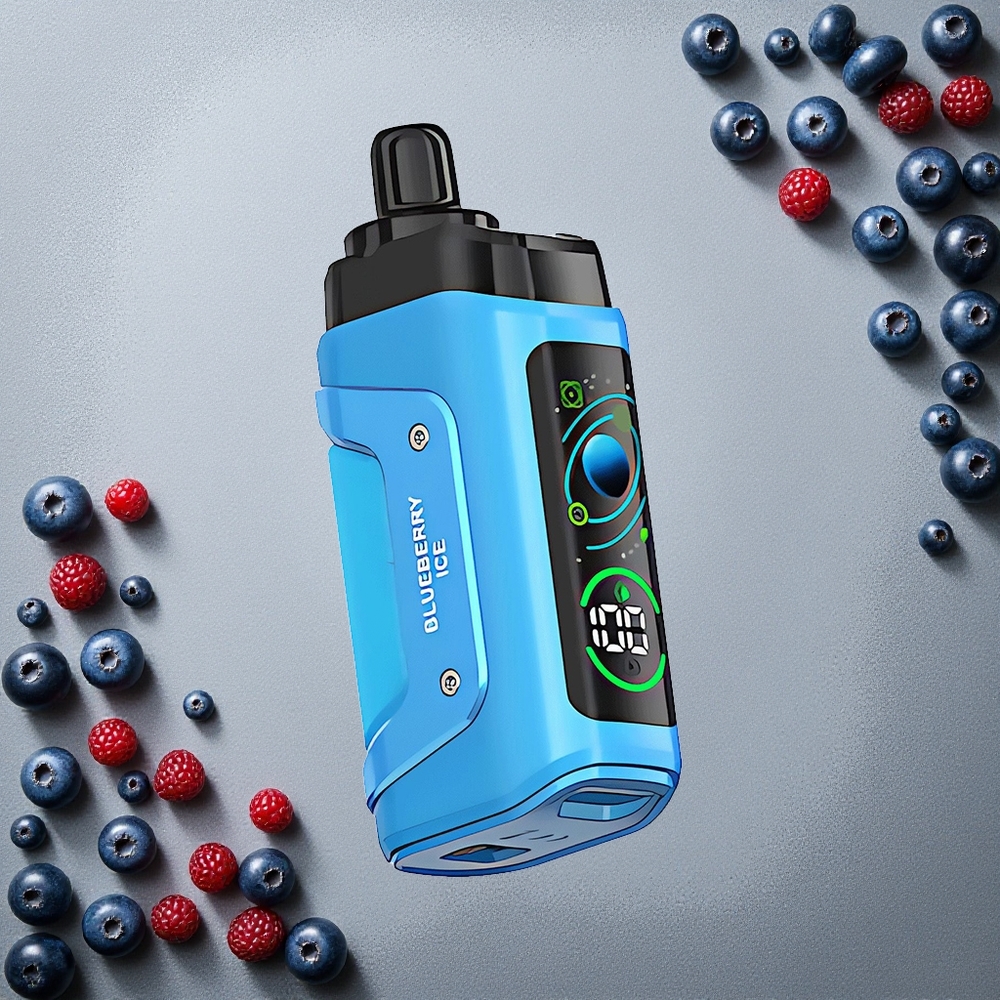 Razz Bar 45000 Tupakkaisuus Kertakäyttöinen Vape Mustikkajää Finland wholesale 1.0 Ohm Mesh Coil Type-C Ladattava